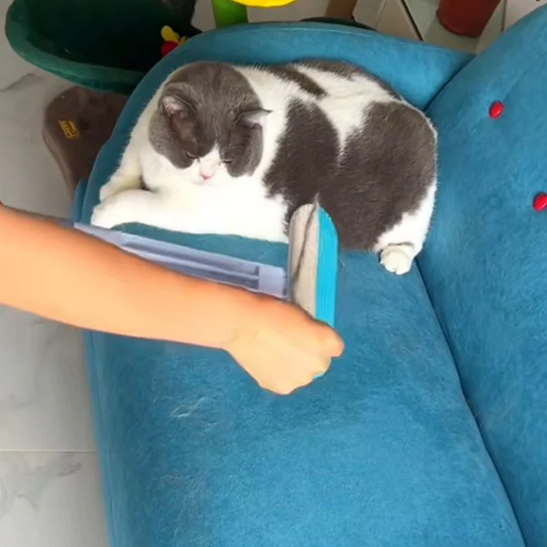 FurClean utilisé près d’un chat
